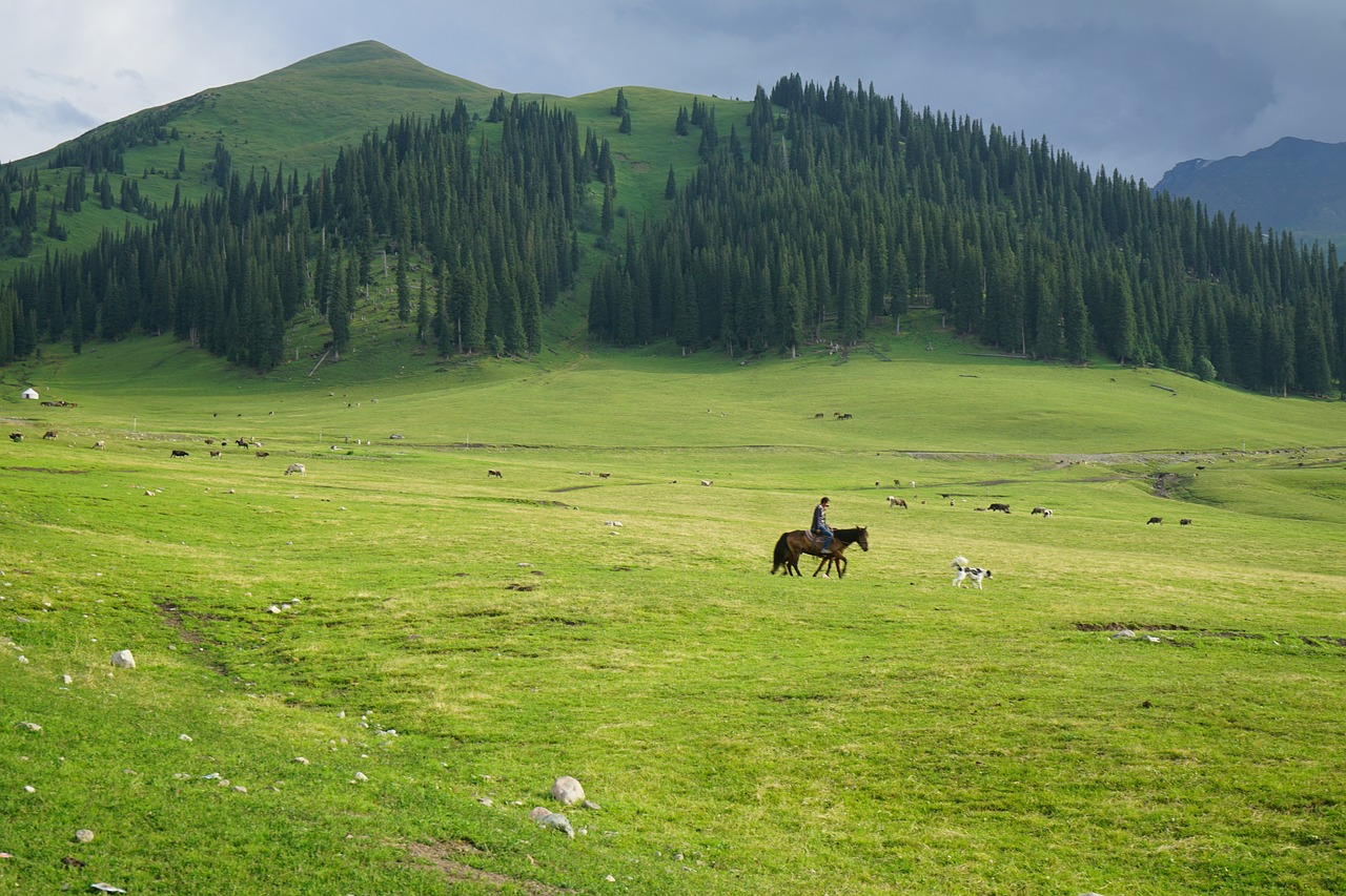 grassland, far mountain, horse riding